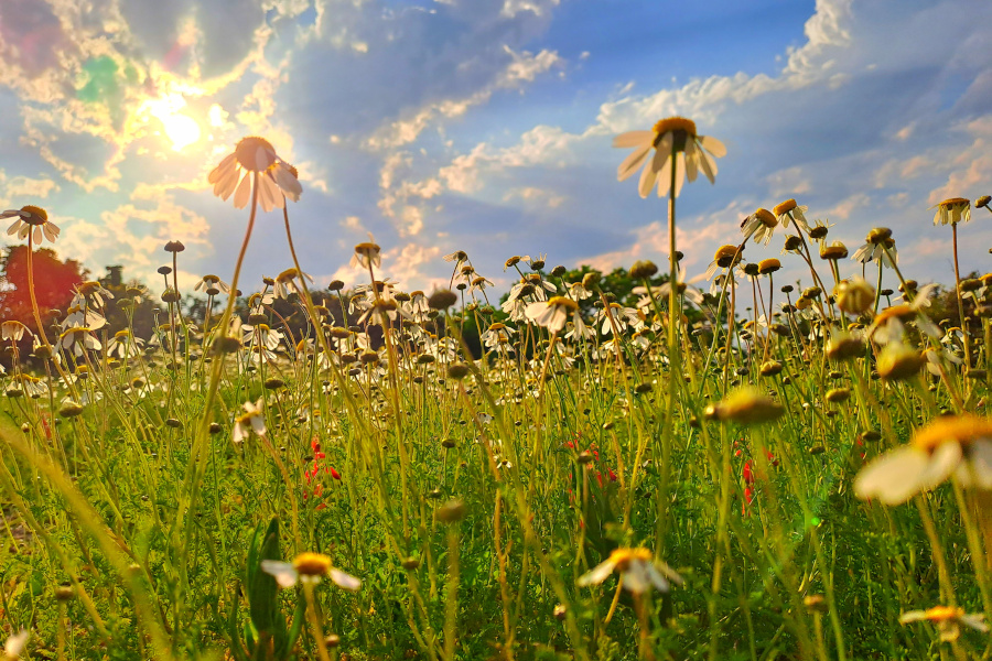 west-coast-rock-gallery-5